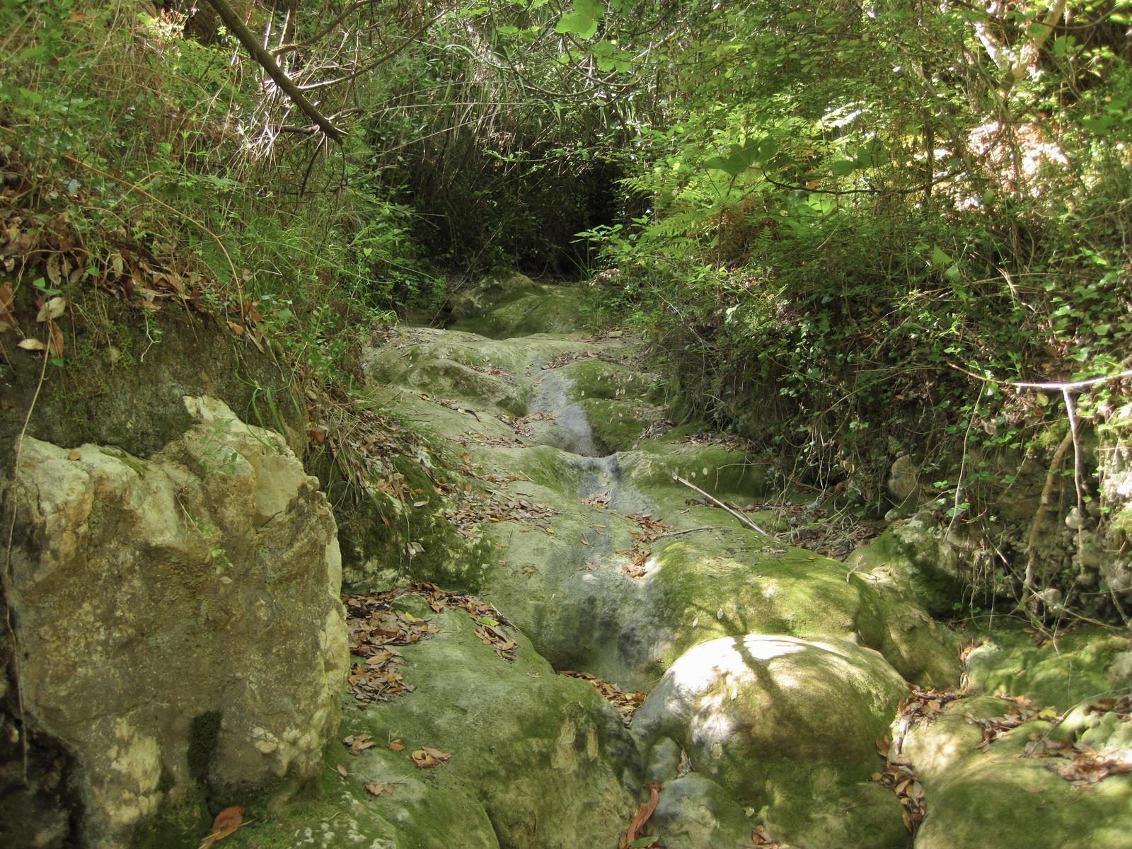Trilho costeiro entre vegetação mediterrânea